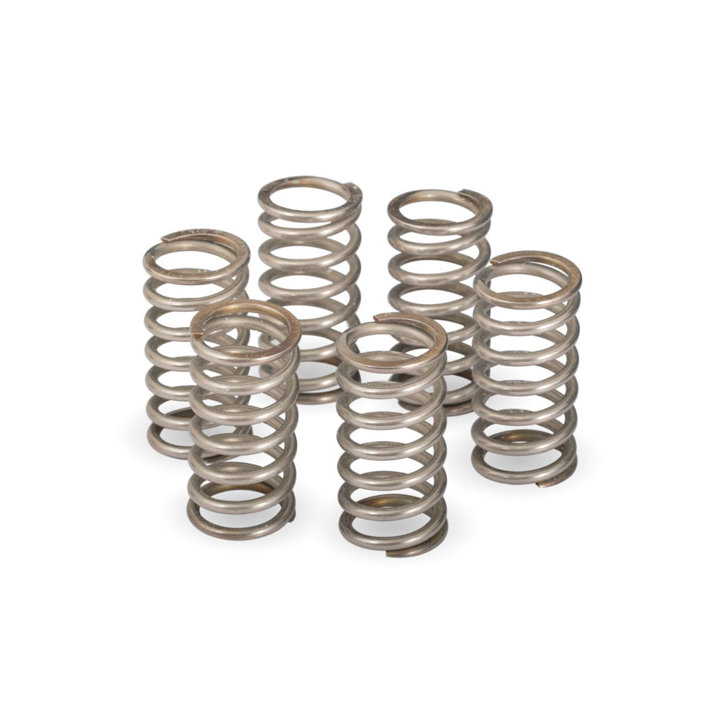 Ducati Dry Clutch Spring Set Clu-0112