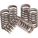 Ducati Dry Clutch Spring Set